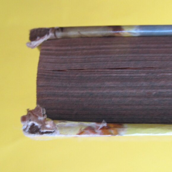 Vintage Black Beauty book by Anna Sewell 1955 - Picture 10 of 10